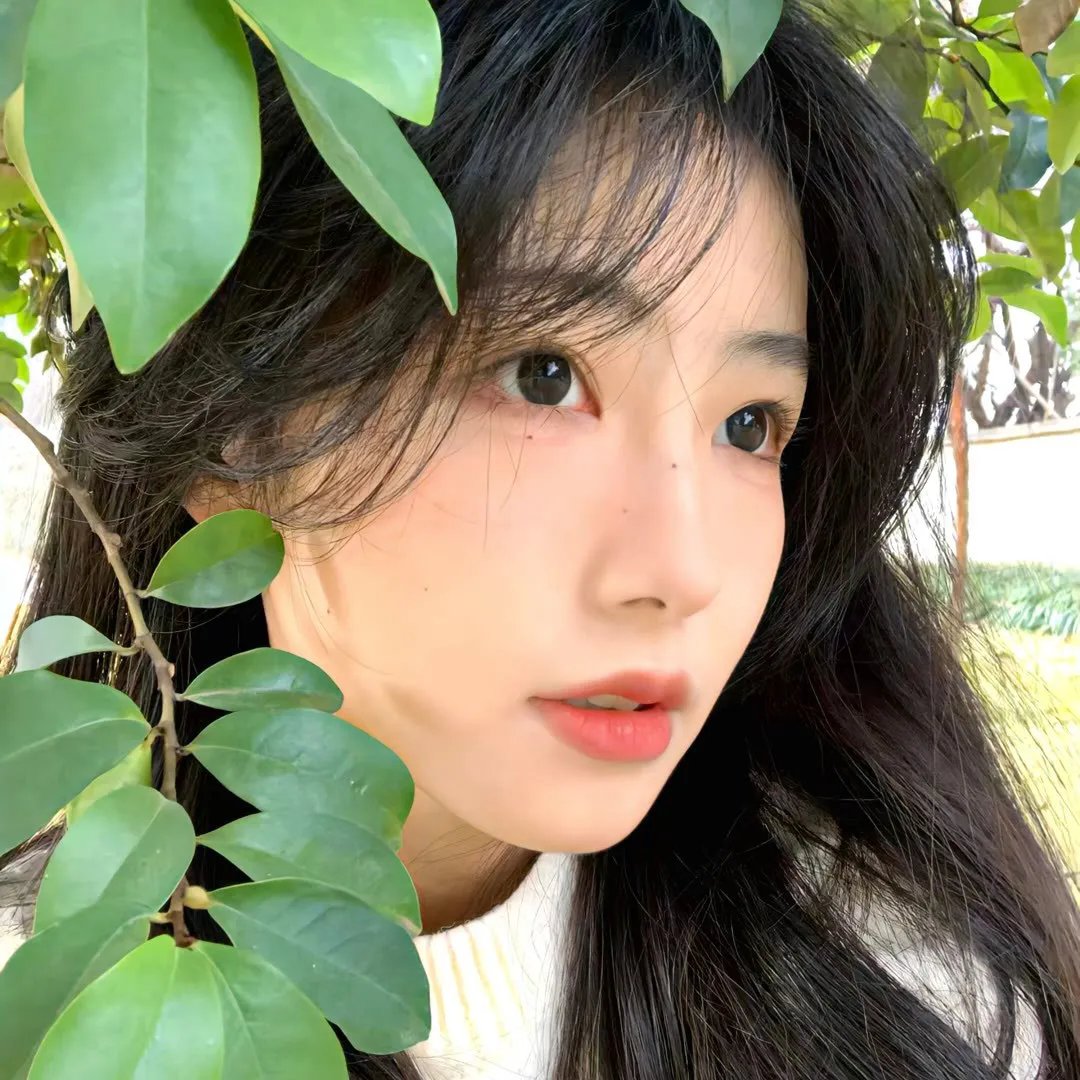 特区